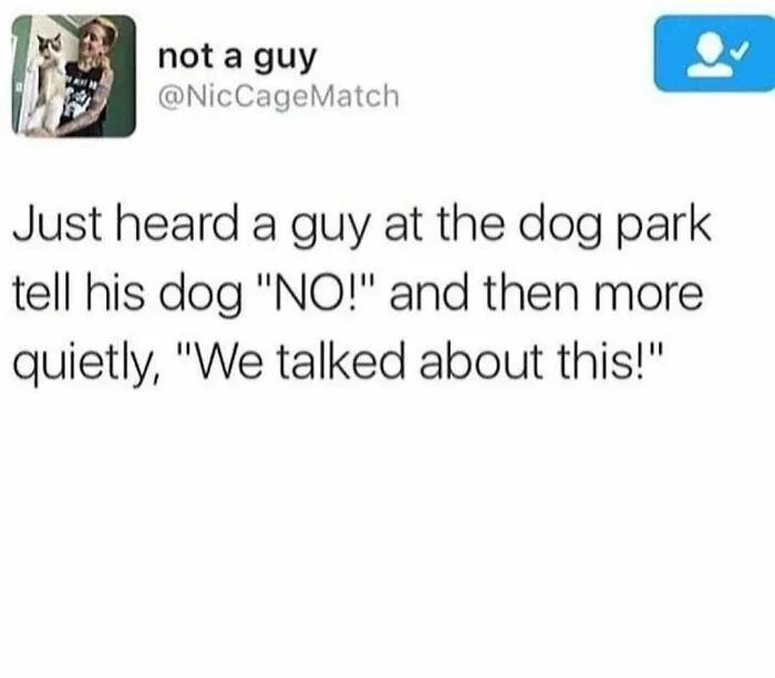 A screenshot of a social media post from user 'not a guy' (@NicCageMatch) featuring a humorous observation about a dog owner at a dog park. The post describes overhearing a man tell his dog 'NO!' loudly, followed by a quieter, exasperated 'We talked about this!', highlighting the relatable and funny dynamic of pet owners treating their pets like humans. The profile picture shows a person holding a cat, adding a personal touch to the user's post.