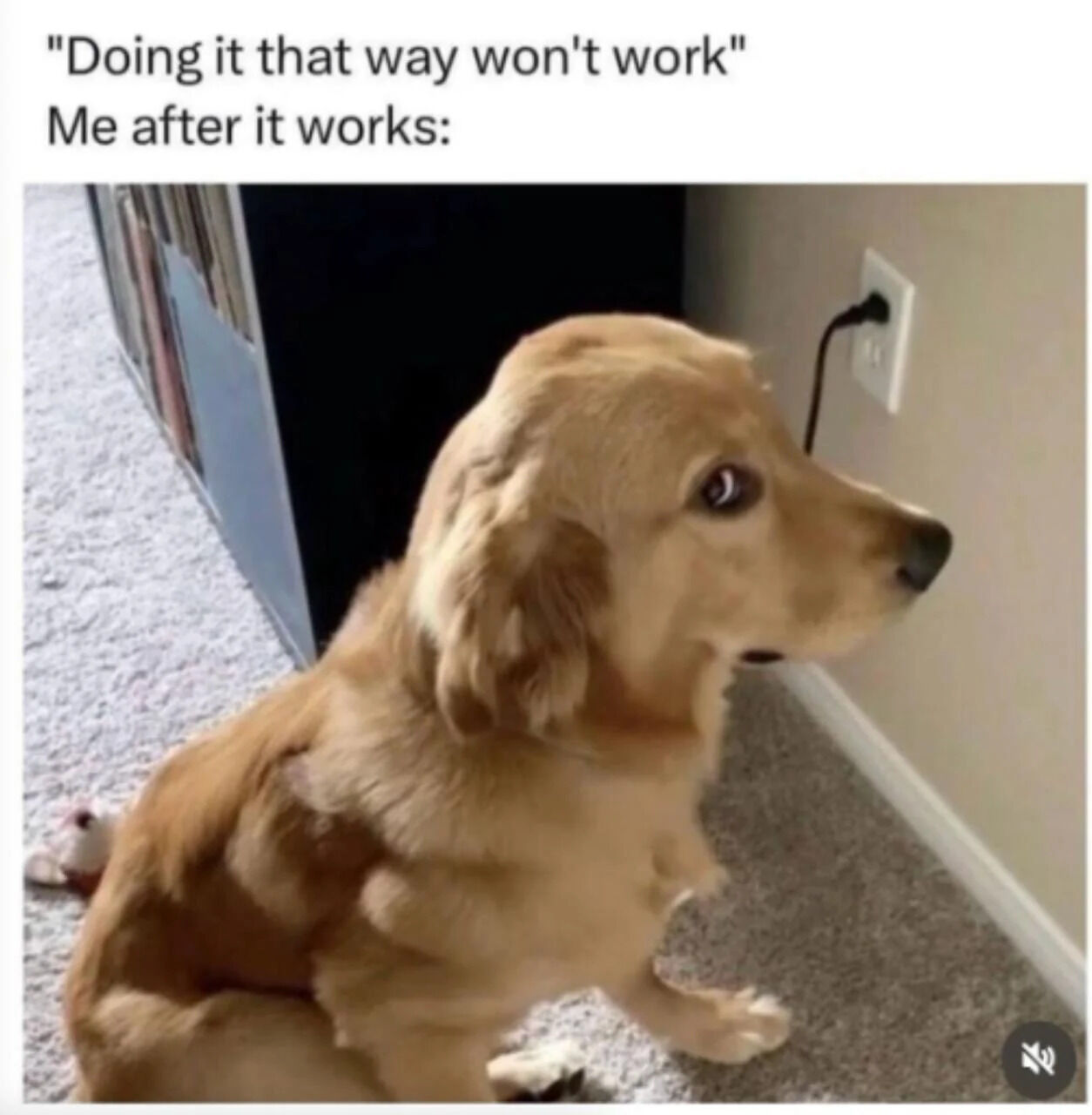 A meme consisting of two parts: top text and an image. The top text reads 'Doing it that way won't work' followed by 'Me after it works:'. Below the text is a photograph of a golden retriever dog sitting on a light gray carpet. The dog has a fluffy golden coat, floppy ears, and is looking to the right towards a beige wall with a white electrical outlet that has a black plug inserted. The dog's expression appears curious and innocent, humorously representing the feeling of triumph after proving a doubted method successful.