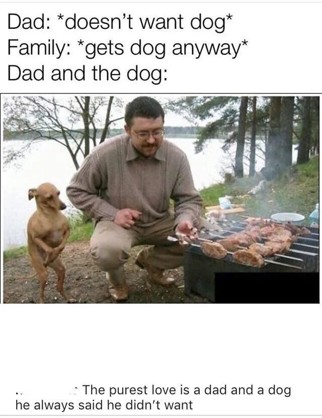 This is a popular wholesome meme that illustrates a very common relatable family scenario: when a father states he does not want to add a dog to the family, the rest of the family gets the dog anyway. The meme's punchline shows the father already having formed an extremely close bond with the new dog. In the candid photo, the father crouches outdoors by a lakeside grilling meat on a barbecue, while his small brown dog stands upright on its hind legs beside him, mimicking the father's stance, making it look like the pair are grilling together. The text at the bottom reinforces the heartwarming theme, noting that the purest love is between a dad and the dog he originally said he did not want.
