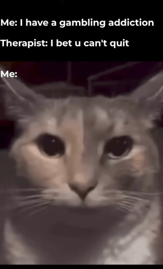 A meme featuring a humorous dialogue about gambling addiction. The top text shows a conversation where 'Me' admits to having a gambling addiction, and a therapist responds with the pun 'I bet u can't quit'. Below the dialogue is a close-up image of a cat with wide, intense eyes, representing the reaction of 'Me' to the therapist's statement. The cat's serious expression creates a comedic contrast with the lighthearted wordplay in the dialogue.