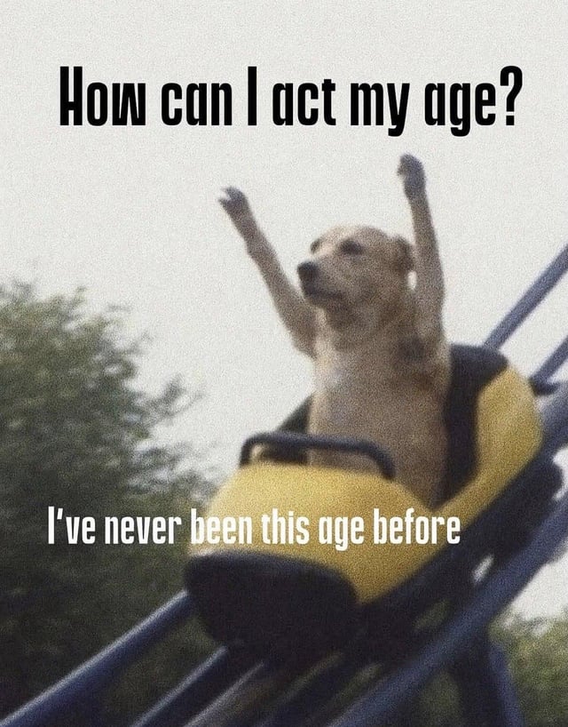 This meme features a grainy filtered photo of a light-colored dog riding a yellow and black rollercoaster car, with its two front paws raised excitedly in the air as if enjoying the ride. Text is overlaid at the top and bottom of the image: the top text reads "How can I act my age?" and the bottom text responds "I've never been this age before". The joke is a relatable, lighthearted justification for people not behaving in a way considered "age-appropriate", pointing out that every age a person reaches is a new, unexperienced life stage, so there is no pre-existing standard for how they should act.