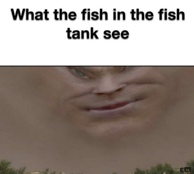 The meme features bold black text at the top that reads 'What the fish in the fish tank see', placed above a heavily horizontally distorted, stretched close-up of the character Squidward Tentacles. The warped appearance of Squidward's face is intended to replicate the distorted view a fish would see when looking out through the curved, thick glass of a fish tank. Small foliage and a faint ground line at the bottom of the image further frame the visual as a view from inside the tank looking outward. The humor derives from the relatable, silly observation of how household pets might see their owners as distorted, surreal figures, paired with the famously uncanny distorted Squidward face as a comedic punchline.