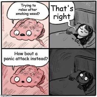 This is a 4-panel hand-drawn comic meme. In the first panel, a cartoon anthropomorphized pink brain with wide open eyes asks 'Trying to relax after smoking weed?'. The second panel shows a girl lying comfortably in bed with her eyes closed, calmly replying 'That's right'. In the third panel, the brain speaks again, saying 'How bout a panic attack instead?'. The fourth panel shows the same girl now wide awake with huge, startled, terrified eyes, jolted out of her relaxed state by an unexpected panic attack. The meme humorously depicts the common, relatable negative experience many cannabis users face when they consume the substance expecting to relax, but instead have an unplanned anxiety or panic attack.