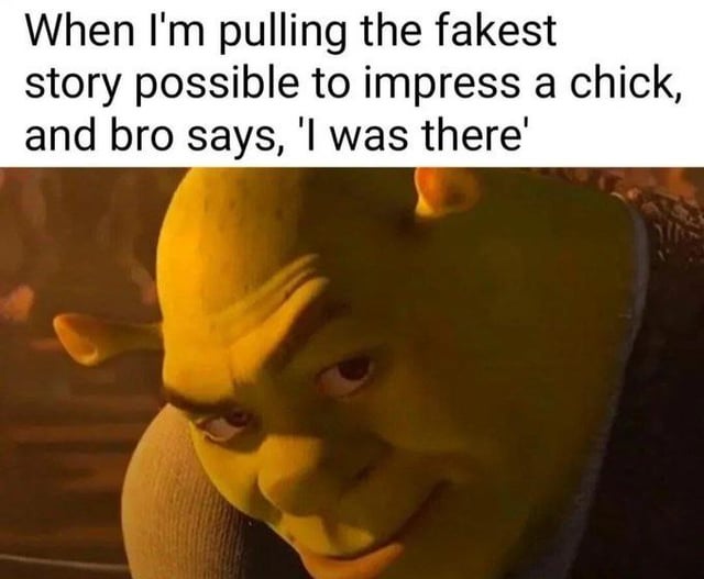 The meme consists of two main parts: a top text overlay and a lower image. The text reads: 'When I'm pulling the fakest story possible to impress a chick, and bro says, 'I was there''. Below the text is a close-up screenshot of Shrek from the Shrek animated franchise, displaying a knowing, smirking expression with raised eyebrows and a slight grin. This combination humorously portrays the dynamic where a friend ('bro') supports another's exaggerated or fake story to help them impress someone, leveraging Shrek's iconic, relatable demeanor to enhance the lighthearted and默契-filled tone.