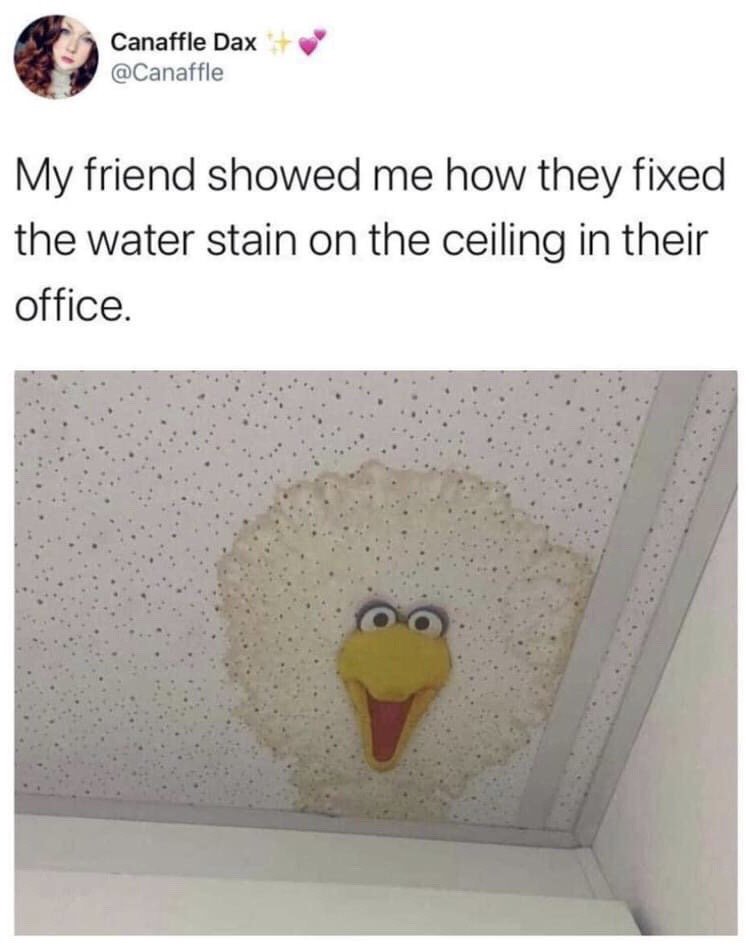 This is a screenshot of a social media post from X (formerly Twitter). The post text states 'My friend showed me how they fixed the water stain on the ceiling in their office.' The attached image shows a speckled drop ceiling tile with a round water stain. A decal of a googly-eyed, yellow-beaked, open-mouthed stylized bird muppet (resembling Big Bird from Sesame Street) is placed in the center of the stain, turning the unsightly water damage into a humorous, whimsical decorative feature.