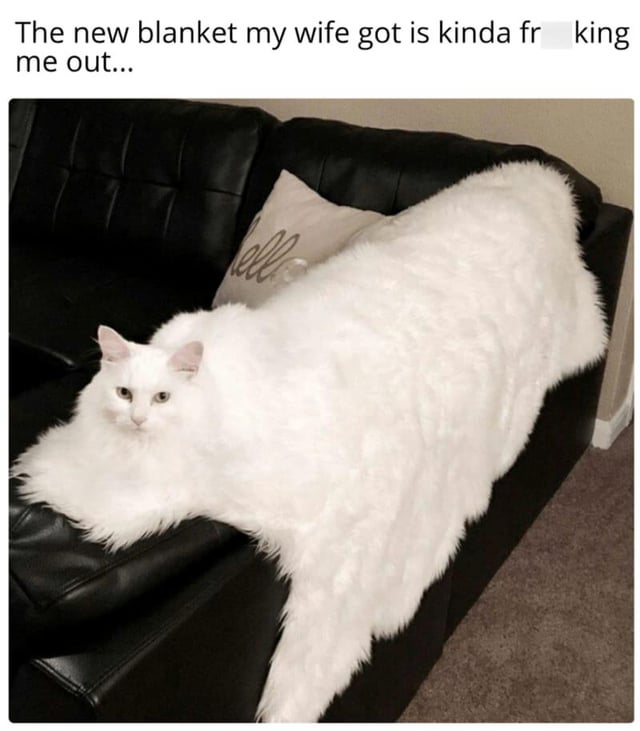 This is a humorous meme featuring a candid home photo. A long-haired white cat is lying at the left end of a fluffy white fur-style blanket that is draped over a black leather couch. The cat's fur is identical in color and texture to the blanket, creating a funny optical illusion that makes it appear as if the entire length of the blanket is the cat's extremely oversized, long body. The text above the image reads 'The new blanket my wife got is kinda fr[icking] me out...', which leans into the visual gag by pretending the poster is unsettled by the 'blanket' that is actually partially a cat. The joke relies on the perfect visual match between the cat and the blanket, tricking the viewer at first glance into thinking they are looking at an impossibly large cat.
