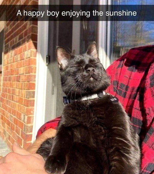 The image features a real black cat with a collar, sitting contentedly on a person's lap. The cat has its eyes closed, head tilted back, and appears relaxed, seemingly enjoying sunlight. The person is wearing a red plaid shirt, and the background includes a brick wall and a door, suggesting an outdoor or entryway setting. At the top of the image, there is overlaid text that reads 'A happy boy enjoying the sunshine,' which playfully mislabels the cat as a 'boy' to create a wholesome and humorous effect.