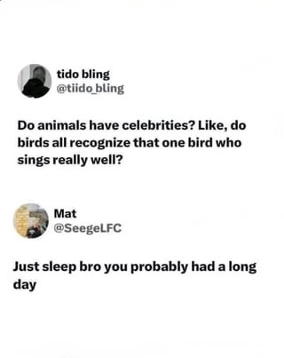 This is a two-part tweet screenshot meme. The first tweet by user tido bling @tiido_bling asks a random, absurd late-night question: if animals have their own celebrities, using the example of whether all birds know the one bird that sings exceptionally well. The second reply by user Mat @SeegeLFC brushes off the question, telling the original poster to go to sleep because he likely had a long day, implying the odd question is a product of being over-tired late at night. The meme is relatable to anyone who has had strange, illogical thoughts when staying up very late.