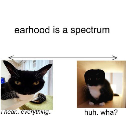 The image features a humorous meme titled 'earhood is a spectrum' with a horizontal arrow spanning across the top. Below the arrow are two photographs of cats positioned side by side, each accompanied by text. The left cat has upright, perked ears and is captioned 'i hear.. everything..', conveying acute hearing. The right cat has folded ears and is captioned 'huh. wha?', depicting poor or inattentive hearing. The meme playfully uses the term 'earhood' (a portmanteau of 'ear' and 'hood') to create a spectrum analogy, humorously contrasting different levels of hearing ability through cat ear types and expressions.