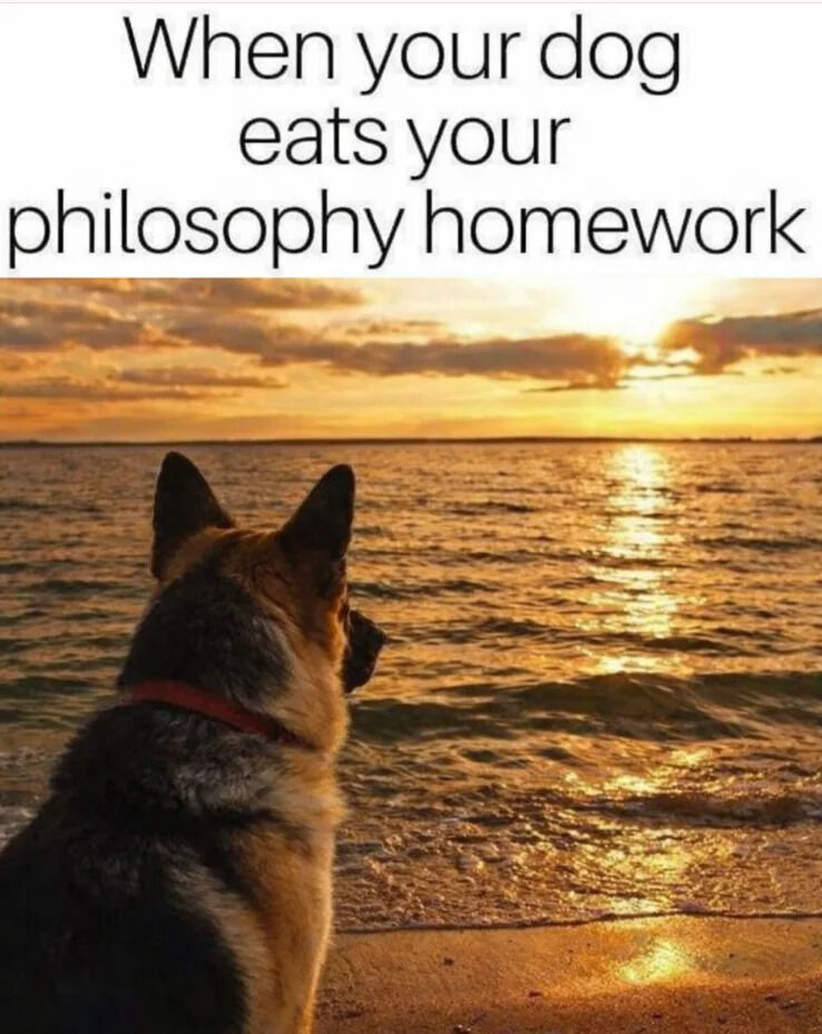 This meme combines a top text caption reading 'When your dog eats your philosophy homework' with an image of a real German Shepherd dog sitting on a sandy beach, staring out contemplatively at a golden sunset over the ocean. The joke plays on two common ideas: the classic student excuse that a dog ate their homework, and the stereotype of philosophy being a field of deep contemplation — the dog who ate the homework now looks like a thoughtful philosopher itself, creating a funny, relatable pun.
