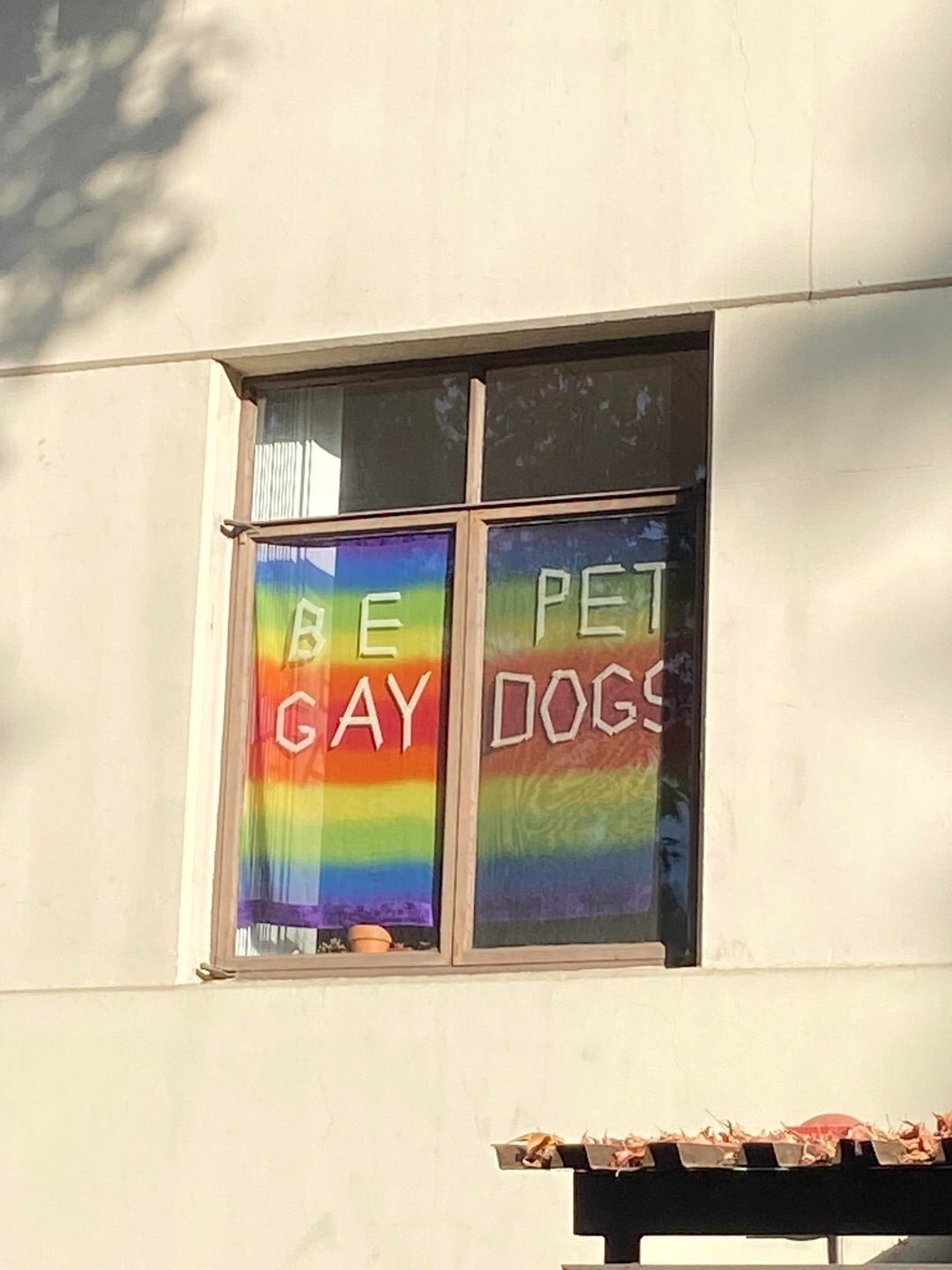 The photograph captures the exterior of a plain off-white building, focusing on a divided 4-pane window. The lower two window panes are backed with rainbow-colored fabric matching the LGBTQ+ pride flag, with bold white text applied: the left lower pane reads "BE GAY" and the right lower pane reads "PET DOGS". A small terracotta plant pot sits on the left lower window sill. Dappled tree shadows are cast on the wall to the upper left of the window, and a rectangular planter holding dry, fallen leaves is visible at the bottom right edge of the frame. A very faint, partially obscured human face can be seen peeking from the far right edge of the right lower window pane, barely noticeable. The meme combines queer pride messaging with the universally beloved activity of petting dogs for a lighthearted, positive, humorous effect.