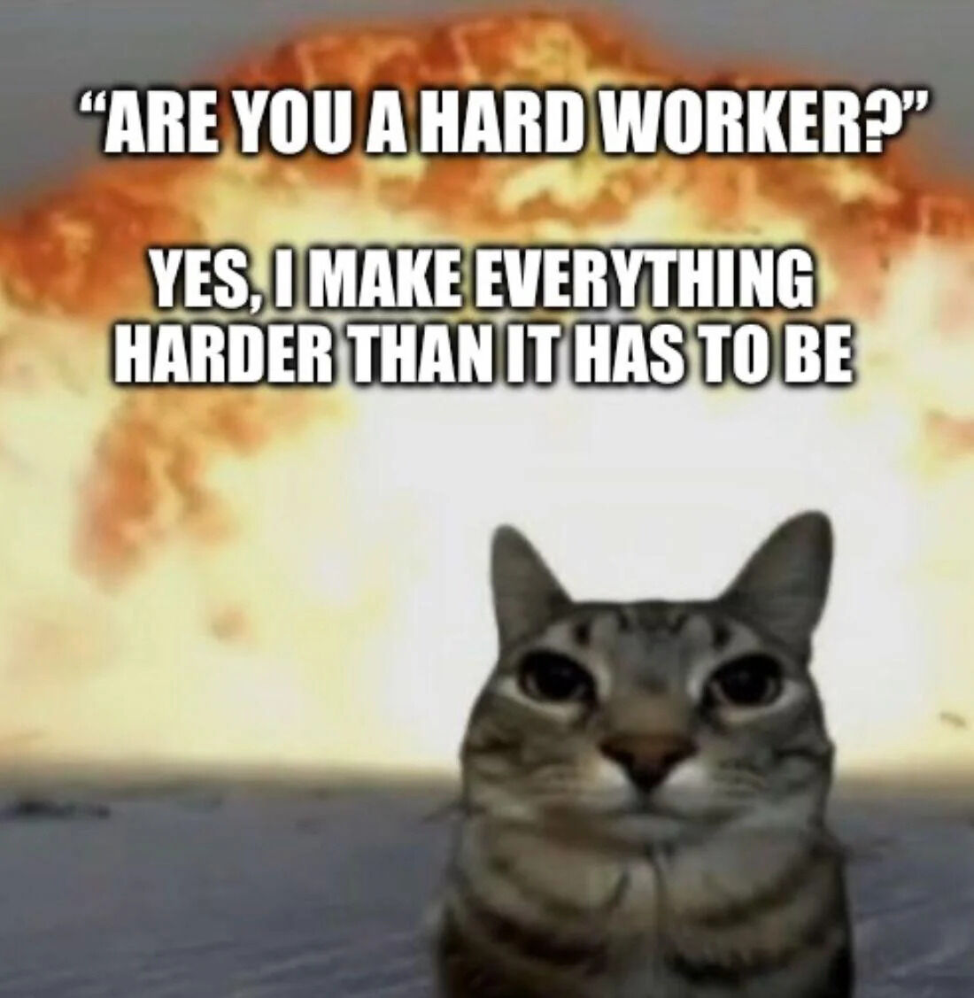 A meme featuring a gray tabby cat with wide, neutral eyes in the foreground, set against a large, dramatic fiery explosion background. The top text reads 'ARE YOU A HARD WORKER?' in bold white letters, and the bottom text (attributed to the cat) responds, 'YES, I MAKE EVERYTHING HARDER THAN IT HAS TO BE.' The humor stems from a pun on 'hard worker'—subverting the expected meaning of diligent effort to instead joke about unnecessarily complicating tasks. The cat's calm expression contrasts with the chaotic explosion background, enhancing the comedic effect.