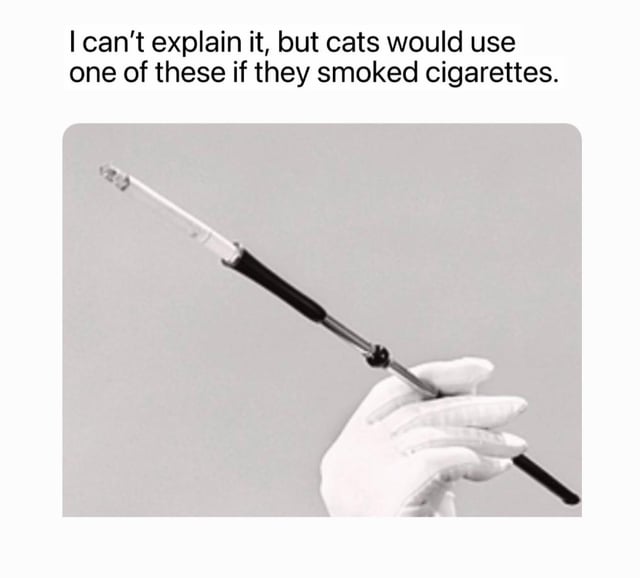The meme has two main parts: a text overlay at the top that reads "I can’t explain it, but cats would use one of these if they smoked cigarettes.", and a grayscale photograph below of a hand wearing a white glove holding an elongated, extendable cigarette holder. The humor comes from the absurd yet intuitively believable premise that the overly fancy, long cigarette holder perfectly matches the stereotypical poised, pretentious, and aloof demeanor associated with cats, making the ridiculous idea feel convincing to viewers familiar with common cat behavior stereotypes.