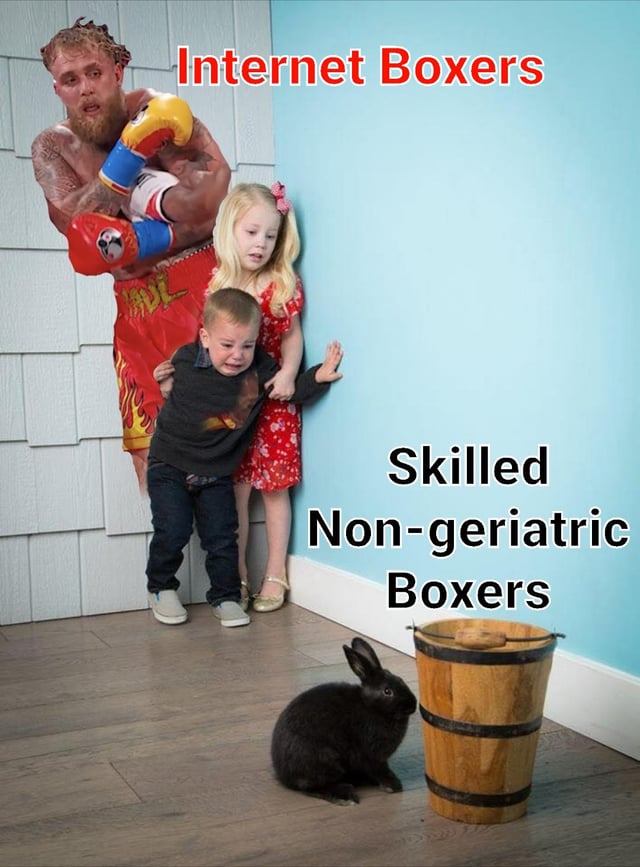 A collage meme featuring a muscular, tattooed boxer in red flame-patterned shorts with red and blue boxing gloves labeled 'Internet Boxers' in bold red text at the top. To the right, two children—a girl in a red dress and a crying boy in a dark shirt—stand against a light blue wall, with the text 'Skilled Non-geriatric Boxers' in black below them. A black rabbit and a wooden bucket are positioned on the wooden floor in the foreground. The composition humorously contrasts the aggressive, over-the-top 'Internet Boxers' with the underwhelming, childlike representation of 'Skilled Non-geriatric Boxers,' creating a satirical comparison.