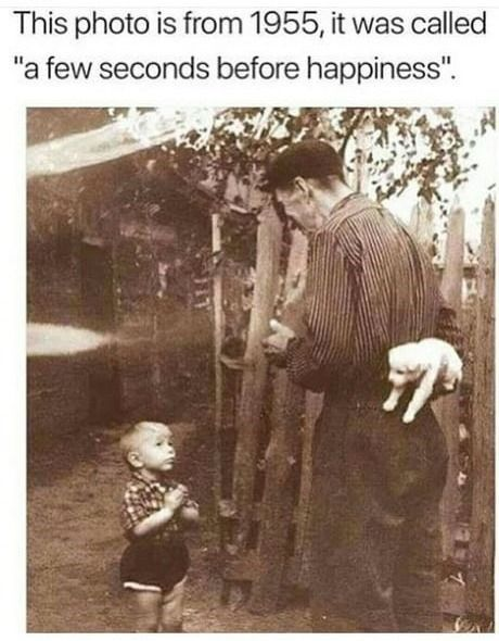 A black and white historical photograph from 1955 titled 'a few seconds before happiness'. The scene depicts an older man wearing a striped shirt and dark pants, with a small white kitten tucked into his back pocket. In front of him stands a young toddler (child) dressed in a checkered shirt and dark shorts, looking up at the man with hands clasped in an eager or expectant gesture. The background features a wooden fence and trees, suggesting a rural setting. The title implies an impending joyful moment, likely the man presenting the kitten to the child, evoking warmth and nostalgia.