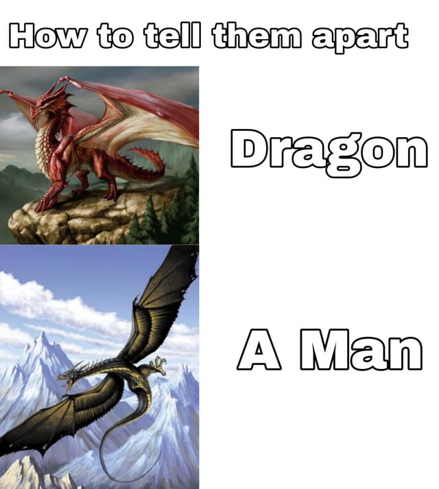 The meme is formatted as a humorous comparison guide titled 'How to tell them apart'. The first row shows an illustration of a traditional red-scaled western dragon with large wings, standing on a rocky forested cliff, labeled 'Dragon' to its right. The second row shows an illustration of a long, slender, serpentine black dragon flying over jagged snowy mountains, labeled 'A Man' to its right. The joke leans into absurdist, niche humor by providing an intentionally unhelpful, nonsensical distinction between the two dragon illustrations that has no logical basis, with comedy derived from the unexpected, absurd pairing of the serpentine dragon with the 'A Man' label.