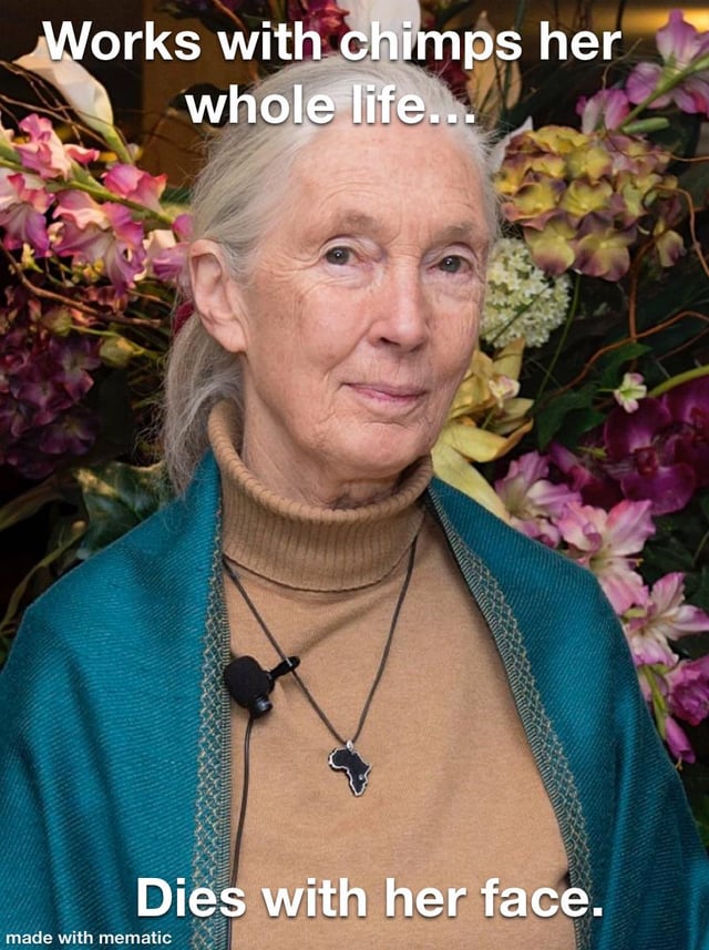 The image features Jane Goodall, a renowned primatologist, standing against a vibrant background of colorful flowers including pink, purple, and yellow blooms. She has white hair tied back, wears a brown turtleneck sweater under a teal shawl with decorative trim, a black microphone around her neck, and a necklace shaped like the African continent. Overlaid text appears at the top: 'Works with chimps her whole life...' and at the bottom: 'Dies with her face.' A watermark 'made with mematic' is visible at the bottom left corner.
