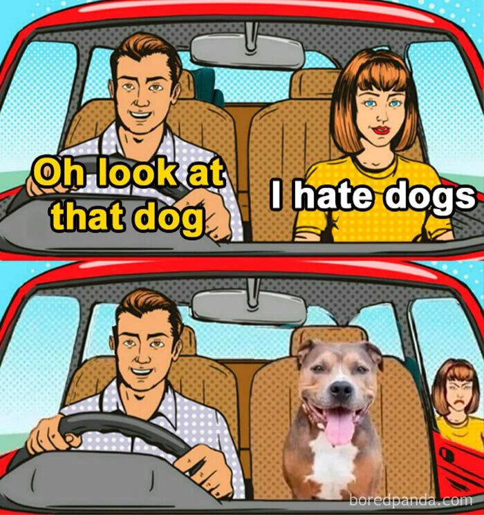A two-panel comic-style meme depicting a humorous scenario. In the first panel, a man driving a red car says, "Oh look at that dog," while the female passenger responds, "I hate dogs." In the second panel, the female passenger is absent; instead, a happy dog with its tongue out sits in her seat, and the woman is shown exiting the car from the right side with an angry expression. The joke hinges on the irony of the woman's hatred for dogs resulting in her being replaced by a dog.