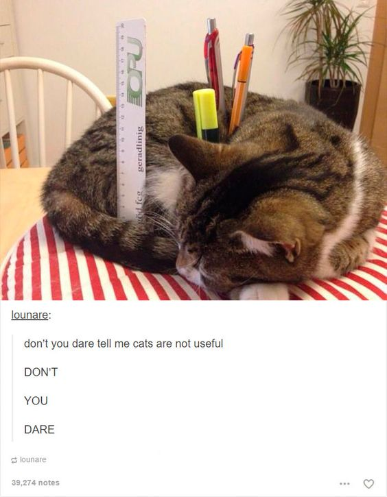 This meme is split into two sections: the upper portion shows a sleepy tabby cat curled up on a red-and-white striped mat, with office supplies (a clear ruler, two retractable pens, and a yellow highlighter) propped against its curved body, framing it as an impromptu, makeshift pen holder. The lower portion is a screenshot of a Tumblr post from user 'lounare', featuring the text: 'don't you dare tell me cats are not useful
DON'T
YOU
DARE'. The core joke is a playful rebuttal to the common stereotype that cats are lazy, non-useful pets—this image humorously repurposes a sleeping cat's relaxed posture as a functional desk organizer, using absurdity to defend feline utility. The comment's aggressive, line-broken tone amplifies the silly, passionate defense of cats.