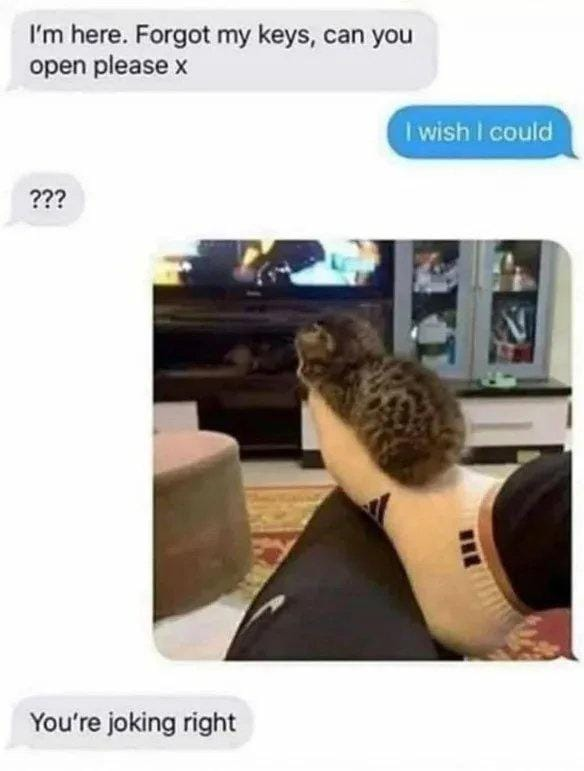 This meme combines a text message conversation screenshot with an accidental optical illusion photo to create a humorous visual joke. A person locked outside the home texts the person inside, saying "I'm here. Forgot my keys, can you open please x". The person inside replies "I wish I could", which confuses the person outside who responds with "???". The person inside then sends the attached photo, and the confused person outside replies "You're joking right". The photo creates an accidental optical illusion: a cat is sitting on the back of the couch directly behind the seated person's shoulder, which tricks the eye into thinking the person has an impossibly large bent arm with what looks like a head of curly hair at the end, leaving them physically unable to get up to reach and open the front door.