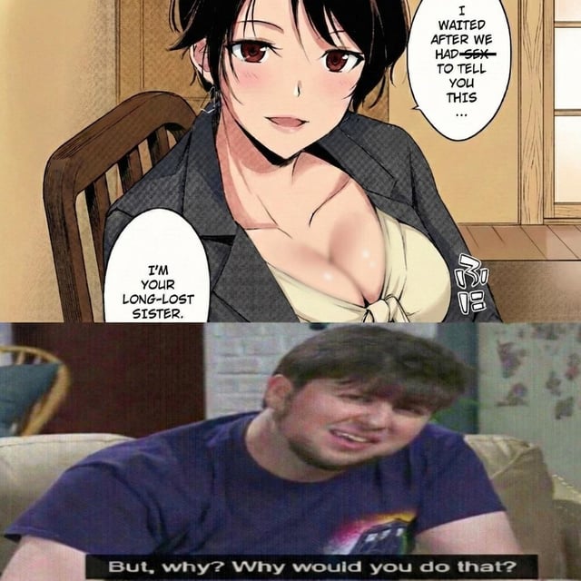 This is a two-panel edited meme that jokes about a common trope in adult Japanese manga. The top panel features an attractive anime-style woman who reveals that after having sex with the main character (the word 'sex' is crossed out for censorship), she is actually his long-lost sister. The bottom panel shows a confused, awkward real man reacting to this reveal with the text 'But, why? Why would you do that?', poking fun at the common trope in erotic manga where long-lost siblings become sexual partners.