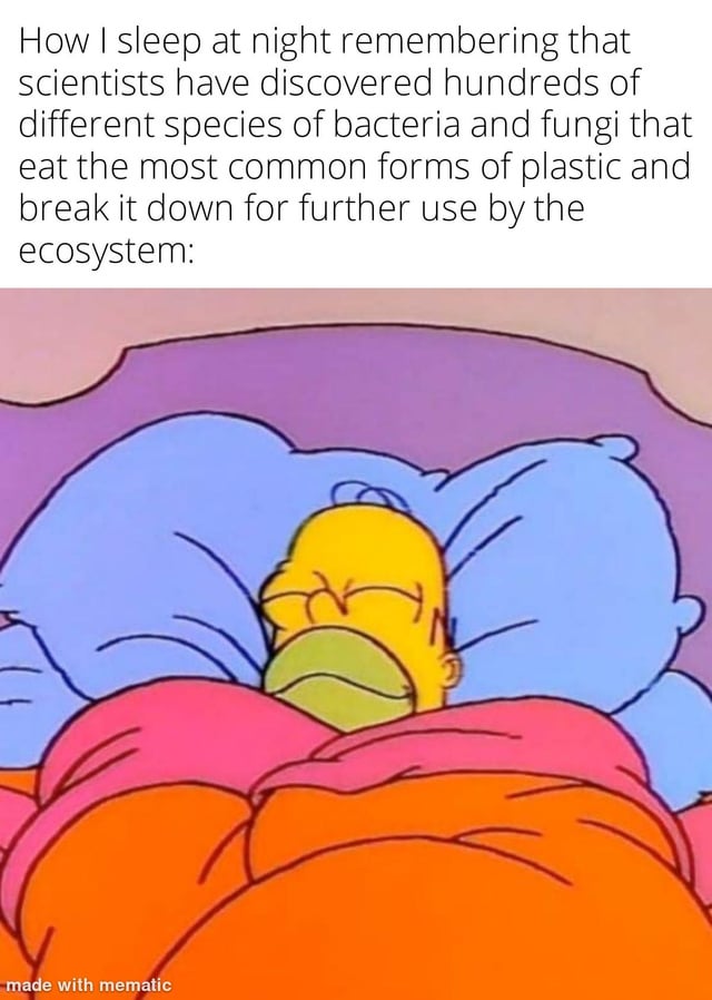 This meme uses the widely recognized 'Homer Simpson sleeping peacefully' template from the animated TV series *The Simpsons*. The top text reads: 'How I sleep at night remembering that scientists have discovered hundreds of different species of bacteria and fungi that eat the most common forms of plastic and break it down for further use by the ecosystem:' Below this text is an image of Homer Simpson lying in bed, covered with orange and pink blankets, resting his head on blue pillows. Homer has a calm, content expression, appearing deeply relaxed as he sleeps. The humor and heart of the meme come from pairing hopeful environmental science news with Homer's iconic carefree, stress-free demeanor: the viewer feels so relieved by the news of plastic-eating microbes solving a major global pollution problem that they can sleep as peacefully as Homer, a character famous for his ability to rest easy regardless of chaos around him. It's a wholesome, positive take on environmental hope, using a relatable cartoon character to convey comfort from good scientific progress.