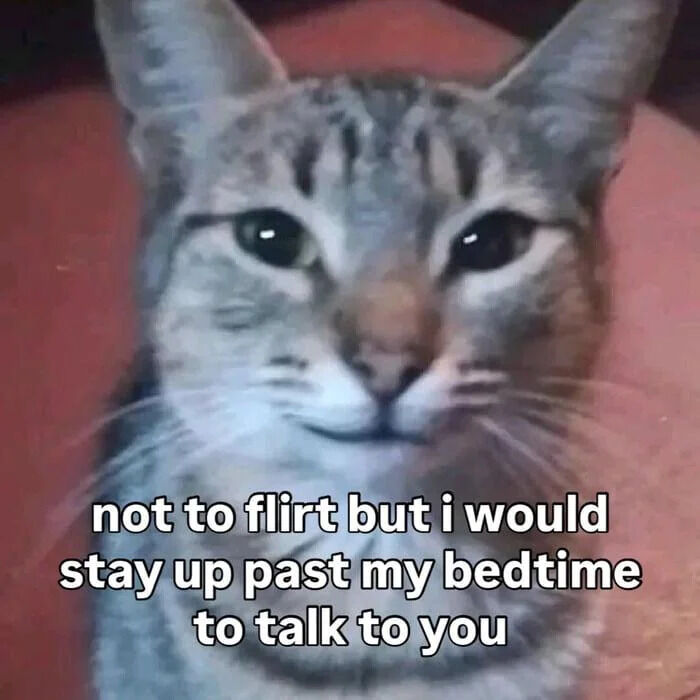 A close-up photograph of a gray tabby cat with distinct facial stripes, white whiskers, and a pink nose. The cat has a calm, neutral expression with large, dark eyes gazing directly at the viewer, set against a solid pink background. At the bottom of the image, white text is overlaid that reads: 'not to flirt but i would stay up past my bedtime to talk to you', creating a playful and affectionate tone.