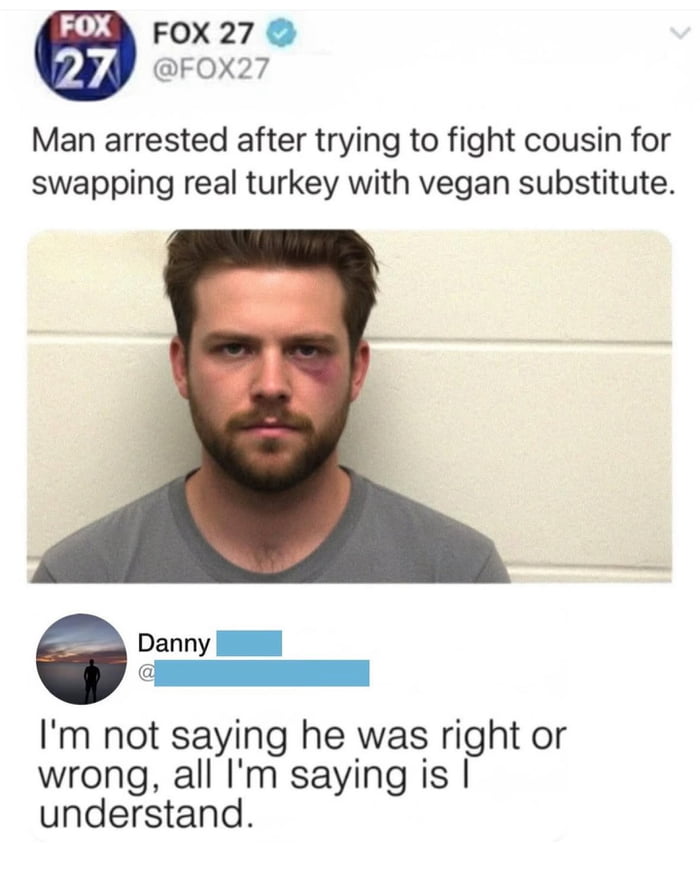 A screenshot combining a FOX 27 Twitter/X post, a mugshot, and a user comment. The FOX 27 tweet reports: 'Man arrested after trying to fight cousin for swapping real turkey with vegan substitute.' Below the tweet is a mugshot of a man with a bruise on his left cheek, wearing a gray shirt against a white wall. A user comment from 'Danny' (with username partially blurred) appears below the mugshot: 'I'm not saying he was right or wrong, all I'm saying is I understand.' The image humorously highlights the absurdity of a conflict over food preferences.