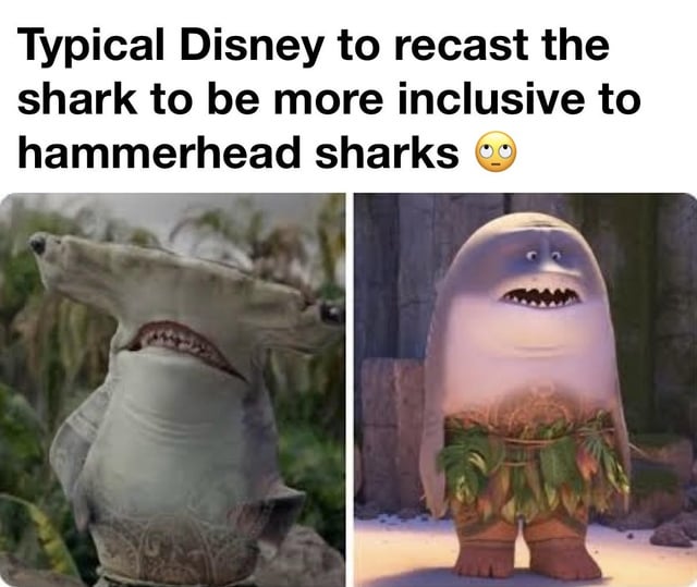 This is a two-panel satirical meme that jokes about internet discourse surrounding Disney's habit of updating character designs and casting for greater inclusivity, taking the concept to an absurd extreme. The left panel shows an edited image of a real hammerhead shark manipulated into a humanoid standing pose, with its wide hammer-shaped head placed across the shoulders/top of the body to make it a humanoid hammerhead shark. The right panel shows an anthropomorphic shark character from Disney's *Moana*, which coincidentally has a long, hammer-like head shape matching the joke premise. The text at the top jokes that Disney would recast a standard shark character just to be more inclusive to hammerhead sharks.