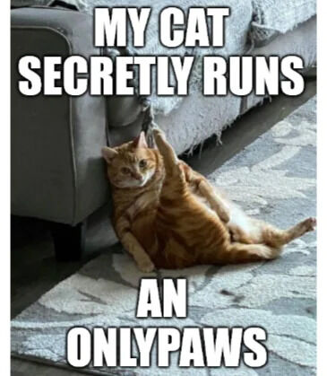 An orange tabby cat is lying on its back on a carpet, playfully holding a string with one paw. The cat has a relaxed expression, with its legs spread out. Above the cat, large white text reads 'MY CAT SECRETLY RUNS', and below the cat, more text reads 'AN ONLYPAWS'. The background includes a gray couch with a blanket draped over it. The meme uses a pun on 'OnlyFans', replacing 'Fans' with 'Paws' to humorously suggest the cat operates a content platform for its paws.