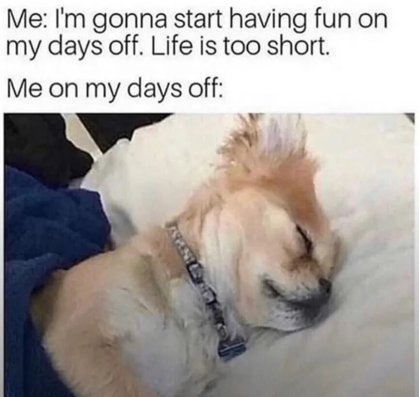 A wholesome meme featuring a two-part text contrast above a photo of a sleeping dog. The top text reads: 'Me: I'm gonna start having fun on my days off. Life is too short.' Below it, the text 'Me on my days off:' is followed by an image of a small, light-colored dog (likely a Shiba Inu or similar breed) peacefully sleeping on a white pillow, partially covered by a blue blanket, and wearing a patterned collar. The humor stems from the relatable contrast between the intention to be active and adventurous on days off versus the reality of choosing rest and relaxation, embodied by the dog's contented, sleepy expression.