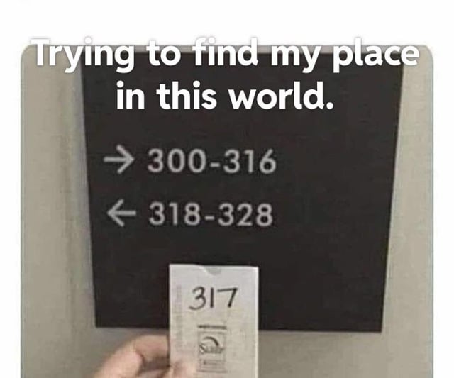 A meme featuring a black directional sign with white text: a right-pointing arrow labeled '300-316' and a left-pointing arrow labeled '318-328'. In front of the sign, a hand holds a small white ticket displaying the number '317', which is noticeably missing from the sign's listed ranges. At the top of the image, a text overlay reads 'Trying to find my place in this world,' creating a humorous and relatable pun where the literal 'place' (room 317) is absent, metaphorically reflecting the feeling of being out of place or not fitting into expected categories.