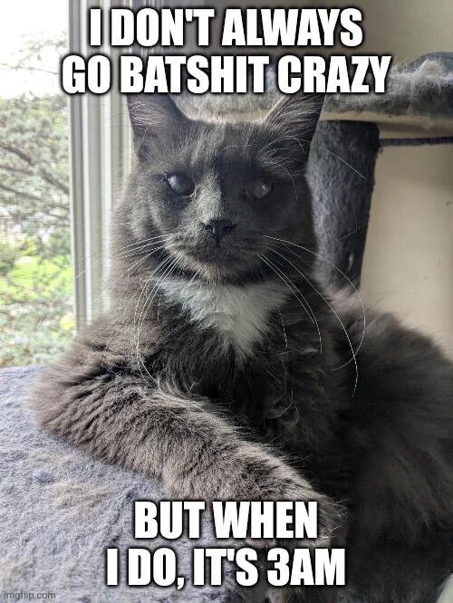 A gray and white cat lies relaxed on a surface, possibly a cat tree, with a window showing greenery in the background. Bold white text at the top reads 'I DON'T ALWAYS GO BATSHIT CRAZY' and at the bottom 'BUT WHEN I DO, IT'S 3 AM'. The cat's calm expression contrasts humorously with the chaotic behavior implied by the text, creating a relatable and funny meme about pet antics, specifically referencing the common stereotype of cats being active or mischievous at 3 AM.