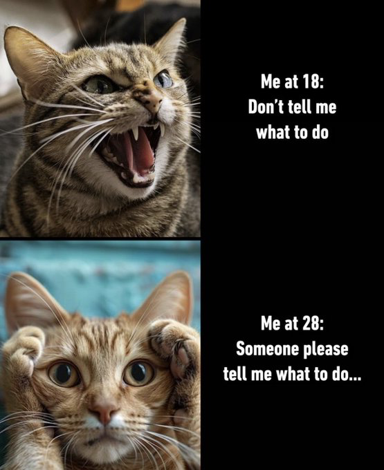 This is a two-panel relatable humor meme. The top left panel features a brown tabby cat hissing aggressively with its mouth wide open, paired with text on the right that reads 'Me at 18: Don't tell me what to do', representing the rebellious, independent attitude common among young adults. The bottom left panel features an orange tabby cat holding both paws to the sides of its head with wide, stressed, confused eyes, paired with text on the right that reads 'Me at 28: Someone please tell me what to do...', representing the feeling of being overwhelmed by adult responsibilities later in life and craving clear guidance. The joke plays on the common shift in attitude as people age and face the complexities of independent adult life.