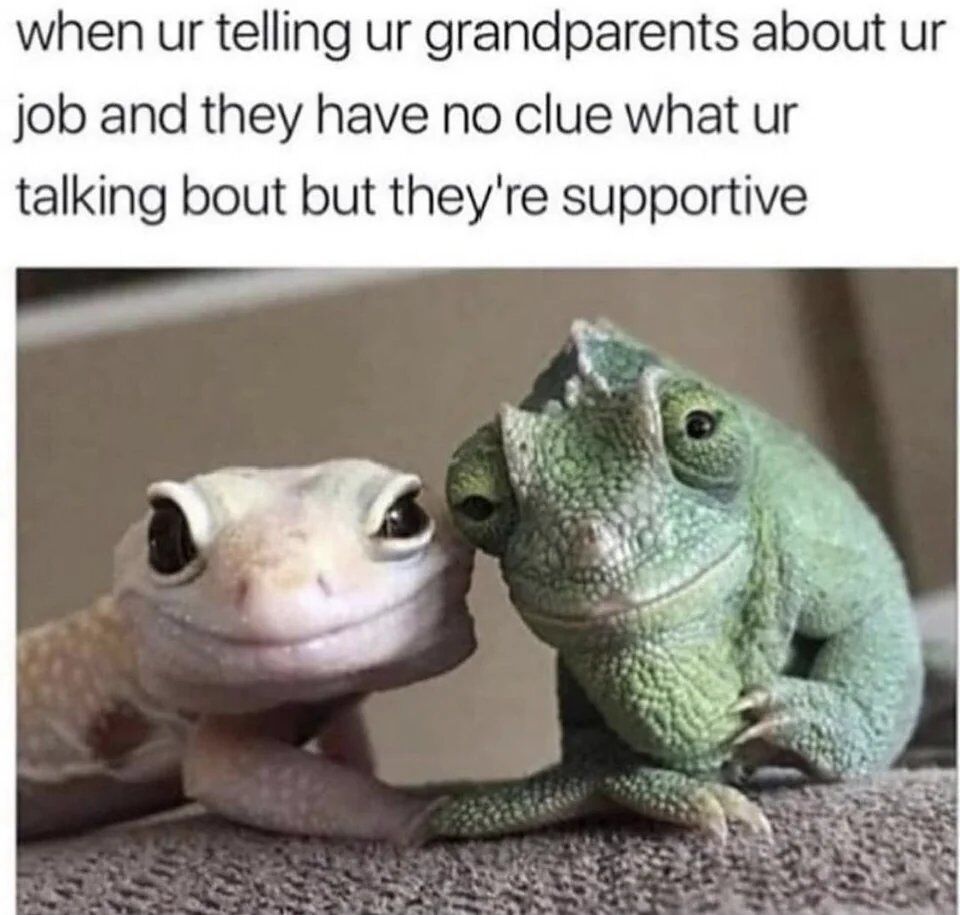 The image is a relatable humor meme. At the top, there's casual text that reads: "when ur telling ur grandparents about ur job and they have no clue what ur talking bout but they're supportive". Below the text, there are two real lizards: a light-colored leopard gecko on the left, and a green chameleon on the right. Both animals have soft, warm, smiling expressions, and are leaning close to each other, appearing attentive and affectionate. The meme plays on the universal, wholesome experience of sharing modern, often complex job details with grandparents who don't fully comprehend the content, but offer unwavering support regardless. The lizards' gentle, understanding-looking faces perfectly embody this loving, clueless support.