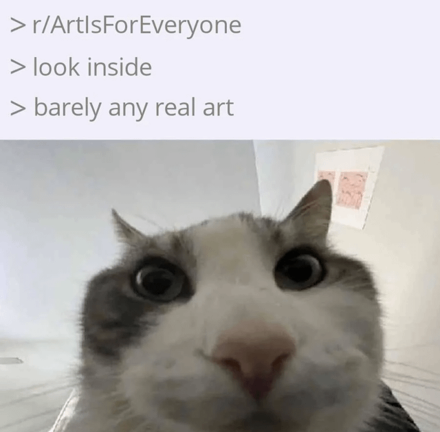 A meme featuring a close-up photograph of a real cat with wide, shocked eyes. The top portion of the image contains text overlay reading: '> r/ArtIsForEveryone > look inside > barely any real art'. The cat is positioned in the lower half, staring directly at the camera with an exaggerated surprised expression. In the background, a white wall with two simple, childlike drawings (possibly stick figures or basic faces) is visible, reinforcing the 'barely any real art' joke by showing minimal artistic content. The humor stems from the cat's shocked reaction juxtaposed with the underwhelming art in the subreddit, sarcastic commentary on the quality of content in the referenced online community.
