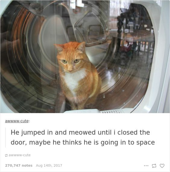 This image is a screenshot of a viral social media post. It features a photograph of an orange tabby cat with a white chest sitting calmly inside the drum of a front-loading washing machine, visible through the curved glass door of the appliance. Below the photo, the original poster writes a caption joking that the cat jumped into the washer and meowed until the door was closed, suggesting the cat might believe he is about to go into space, playing on the similarity between the round washer window and a spaceship porthole.