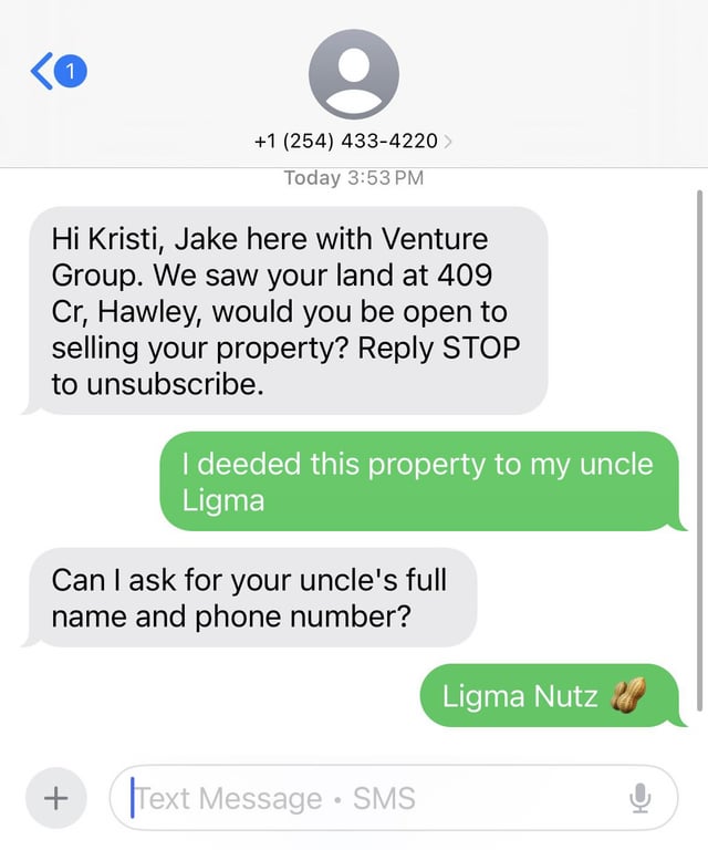 A screenshot of a fictional SMS conversation mocking text scams. The scammer, 'Jake from Venture Group', messages 'Kristi' about buying her property at 409 Cr, Hawley. Kristi responds by claiming she deeded the property to her 'uncle Ligma', prompting the scammer to ask for the uncle's contact info. Kristi then reveals the joke with 'Ligma Nutz' (a pun on 'lick my nuts') accompanied by a peanut emoji, trolling the scammer.