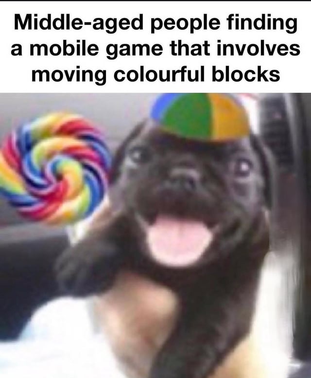 This meme has top text reading "Middle-aged people finding a mobile game that involves moving colourful blocks", which references the widely popular match-3 mobile game Candy Crush that is known for having a large player base of middle-aged users. Below the text is a reaction image of an overjoyed black pug wearing a multicolored propeller beanie, holding a rainbow swirled lollipop, with its mouth open and tongue sticking out looking extremely excited. The happy pug acts as a stand-in for the exaggerated enthusiastic reaction middle-aged people are stereotyped to have when discovering or playing Candy Crush.