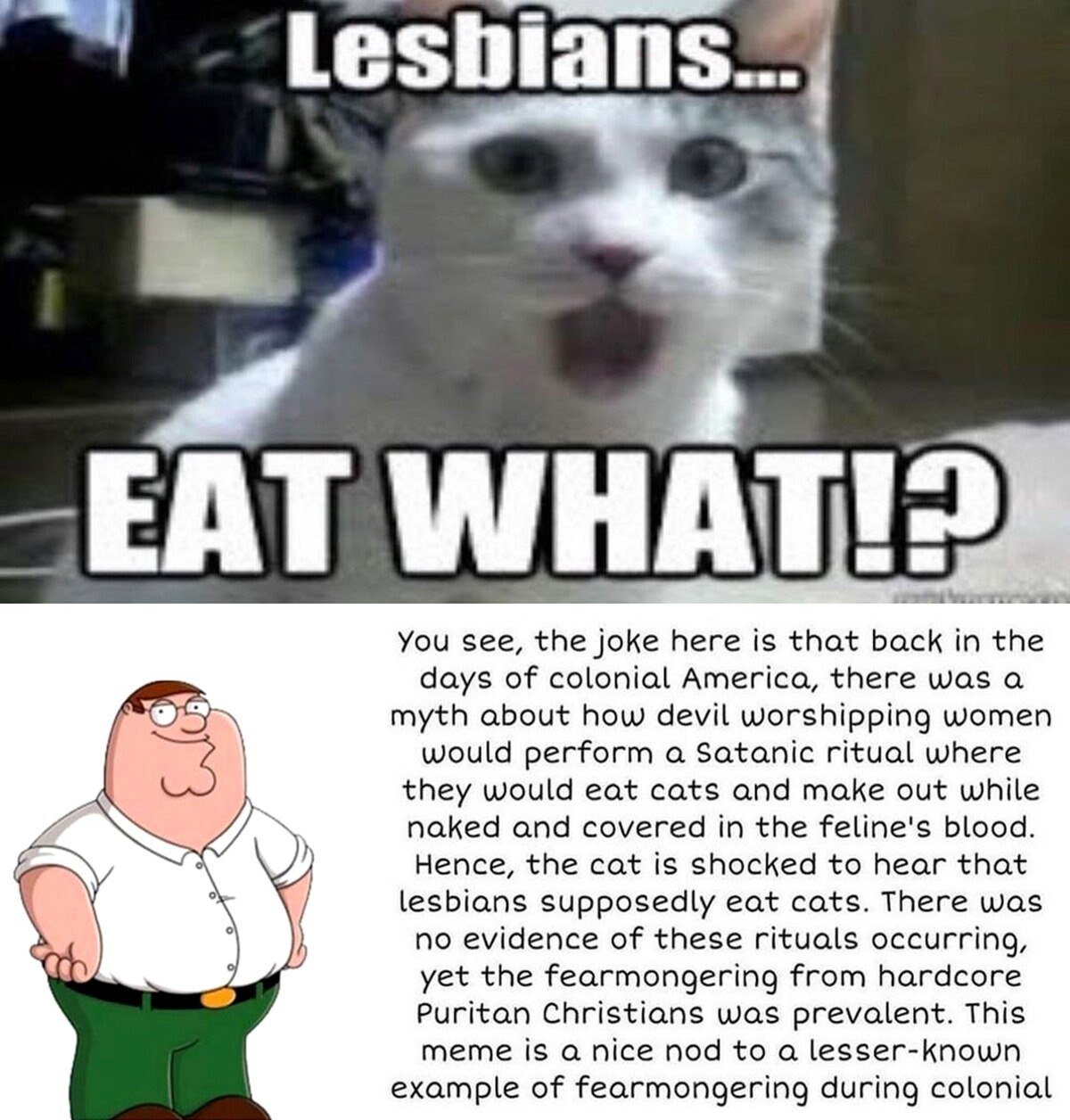 This is a two-panel collage meme. The top panel features the viral 'shocked cat' reaction image with bold text: 'Lesbians... EAT WHAT!?' The bottom panel uses Peter Griffin from the animated sitcom *Family Guy*, paired with a detailed text block explaining the joke's origin. The humor stems from framing an absurd, unsubstantiated colonial American Puritan myth—about devil-worshipping women (falsely linked to lesbians) performing rituals involving eating cats, nudity, and cat blood—as a shocking reveal to the cat. The meme also leans into the popular trope of using Peter Griffin to overexplain joke context, adding a layer of self-referential humor about meme culture.