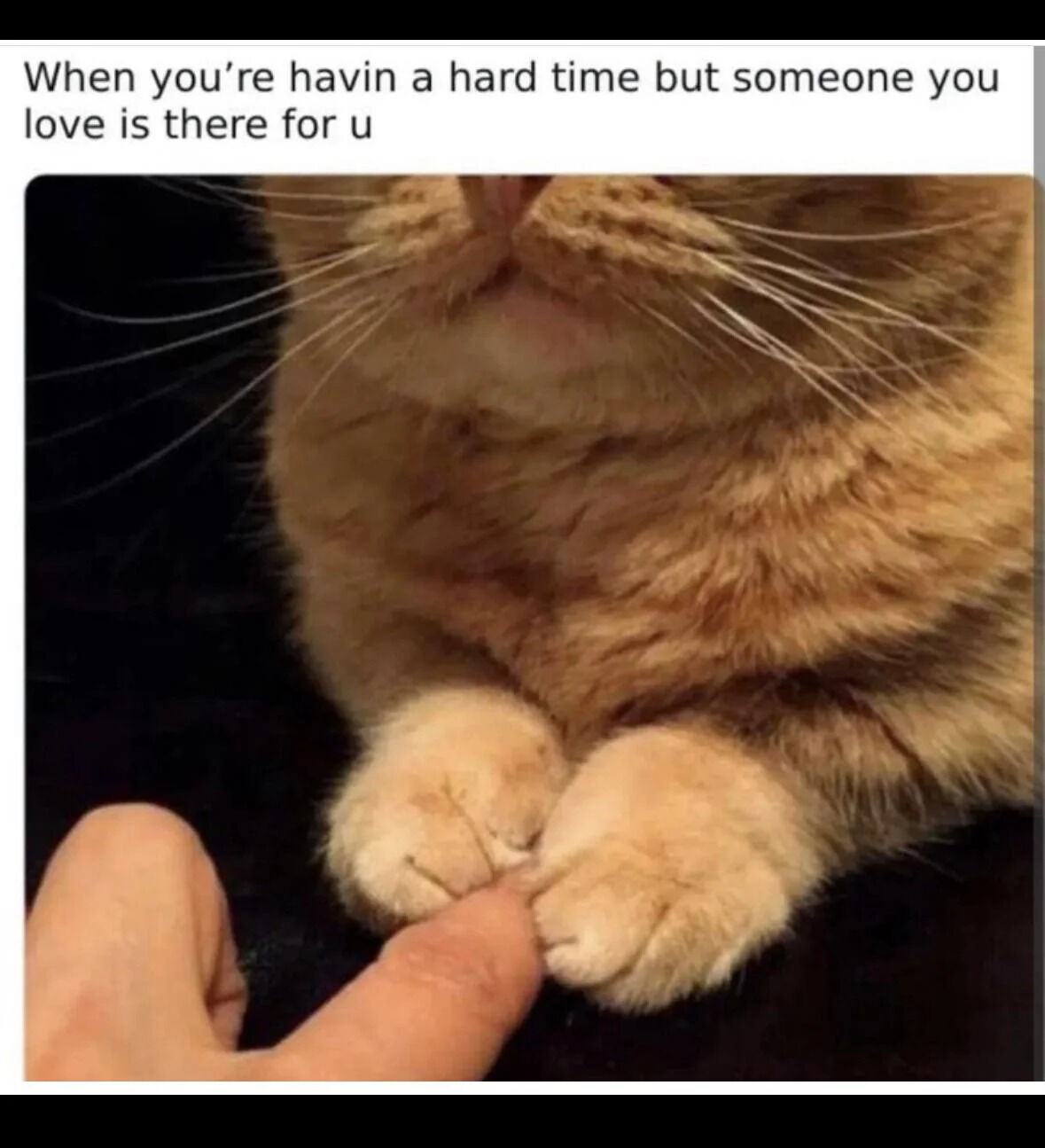 A meme featuring a close-up photograph of an orange cat with a human finger gently touching its paws. The top text reads, 'When you're havin a hard time but someone you love is there for u', conveying a wholesome and comforting message about finding support from loved ones during difficult times. The cat's calm demeanor and the gentle interaction with the human finger emphasize warmth and care.