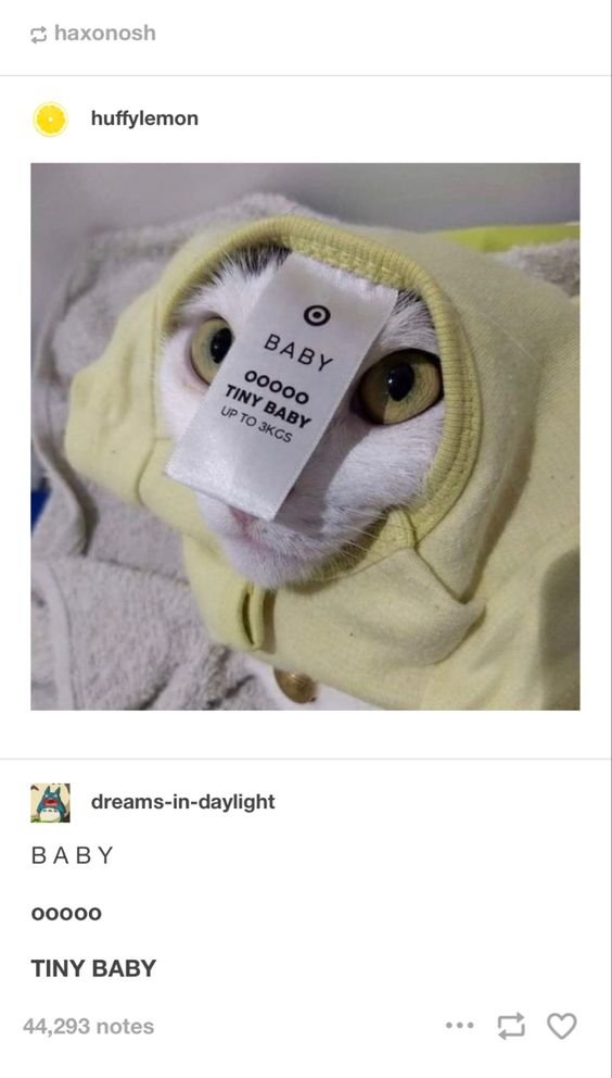 This is a social media post screenshot featuring a white domestic cat wearing a pale yellow hooded pet outfit. A clothing tag from the hoodie rests over the cat's nose, printed with the text 'BABY ooooo TINY BABY UP TO 3KGS'. The five 'o' characters on the tag align perfectly above the cat's real eyes, creating a silly optical illusion that makes it look like the cat has seven eyes total. A comment below the image repeats the text from the tag to highlight the joke, and 44,293 post notes are visible at the bottom of the screenshot.