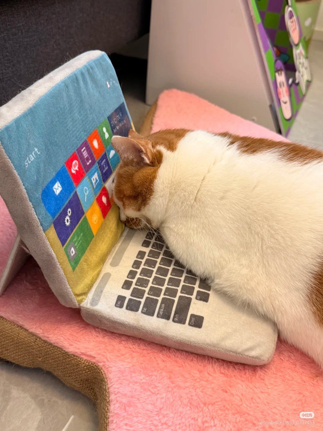 A heartwarming photograph featuring an orange and white cat lying comfortably on a plush toy designed to resemble a laptop. The toy laptop has a blue section with the word 'Start' and a grid of colorful app icons mimicking a Windows start menu, along with a gray keyboard area. The cat rests its head gently on the keyboard part of the toy, appearing relaxed and content. The scene is set on a soft pink cushion, with a gray couch and a colorful box (featuring cartoon characters) visible in the background, creating a cozy domestic atmosphere.