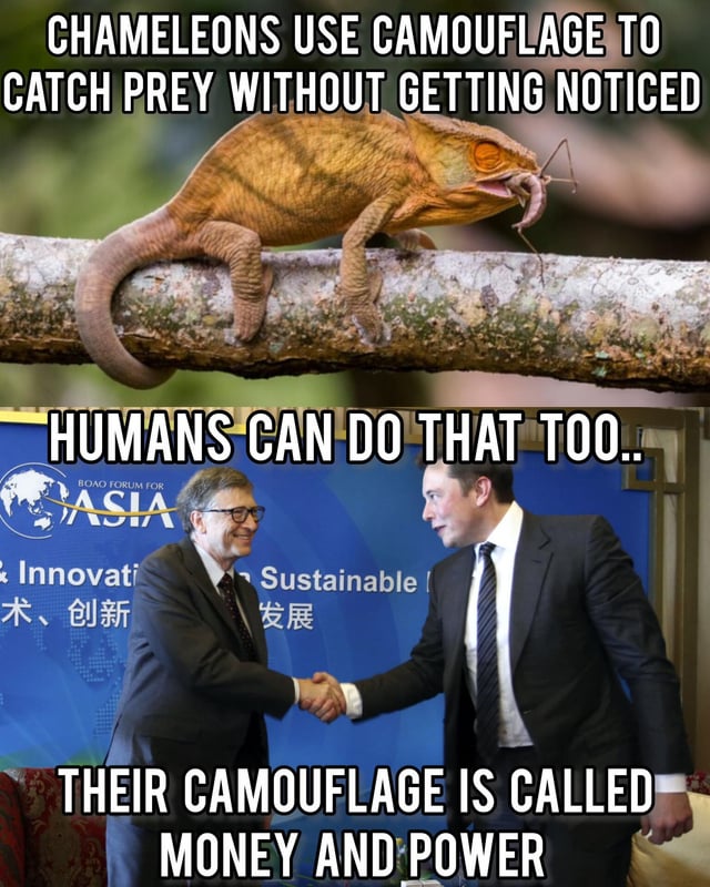 This is a two-panel satirical meme. The top panel displays a chameleon perched on a tree branch, catching an insect with its tongue, accompanied by the text: 'CHAMELEONS USE CAMOUFLAGE TO CATCH PREY WITHOUT GETTING NOTICED'—explaining the chameleon's natural ability to blend in to hunt undetected. The bottom panel shows a real photograph of Bill Gates and Elon Musk shaking hands at the Boao Forum for Asia, with a backdrop that includes the forum's logo and text about 'Innovation & Sustainable Development' (plus Chinese text for 'Technology, Innovation, Development'). The text below this panel reads: 'HUMANS CAN DO THAT TOO.. THEIR CAMOUFLAGE IS CALLED MONEY AND POWER'. The meme uses a metaphor to draw a satirical parallel: just as chameleons use camouflage to avoid detection while hunting, wealthy and powerful individuals use their money and influence to operate without facing scrutiny, accountability, or consequences, critiquing the privilege of the ultra-wealthy.