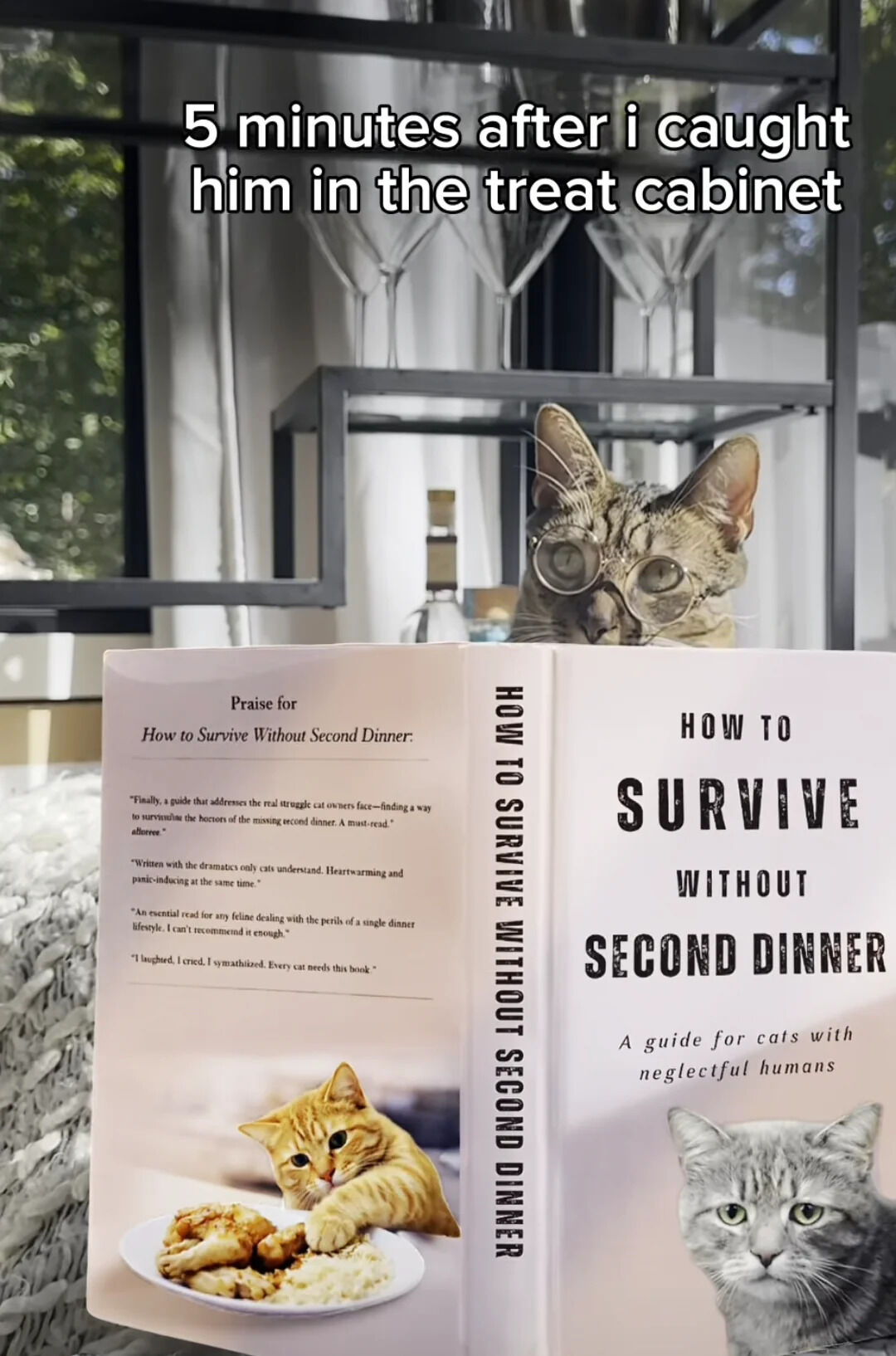 A humorous and wholesome image featuring a tabby cat wearing round glasses, peeking over an open book. The book, titled 'How to Survive Without Second Dinner: A guide for cats with neglectful humans', has a cover showing an orange cat reaching for food and a gray cat on the back. Above the cat, text reads '5 minutes after i caught him in the treat cabinet', implying the cat is researching how to cope after being caught stealing treats. The background includes a glass cabinet with wine glasses, creating a cozy home setting that enhances the relatable, funny narrative about pet mischief.