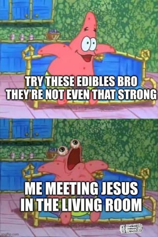 A two-panel meme featuring Patrick Star from SpongeBob SquarePants. The top panel shows Patrick with a cheerful expression, arms outstretched, accompanied by the text 'TRY THESE EDIBLES BRO THEY'RE NOT EVEN THAT STRONG'. The bottom panel shows Patrick with wide, shocked eyes and an open mouth, sitting on a blue couch, with the text 'ME MEETING JESUS IN THE LIVING ROOM'. The meme humorously exaggerates the effects of consuming edibles by contrasting Patrick's initial dismissal of their strength with an extreme, surreal reaction.