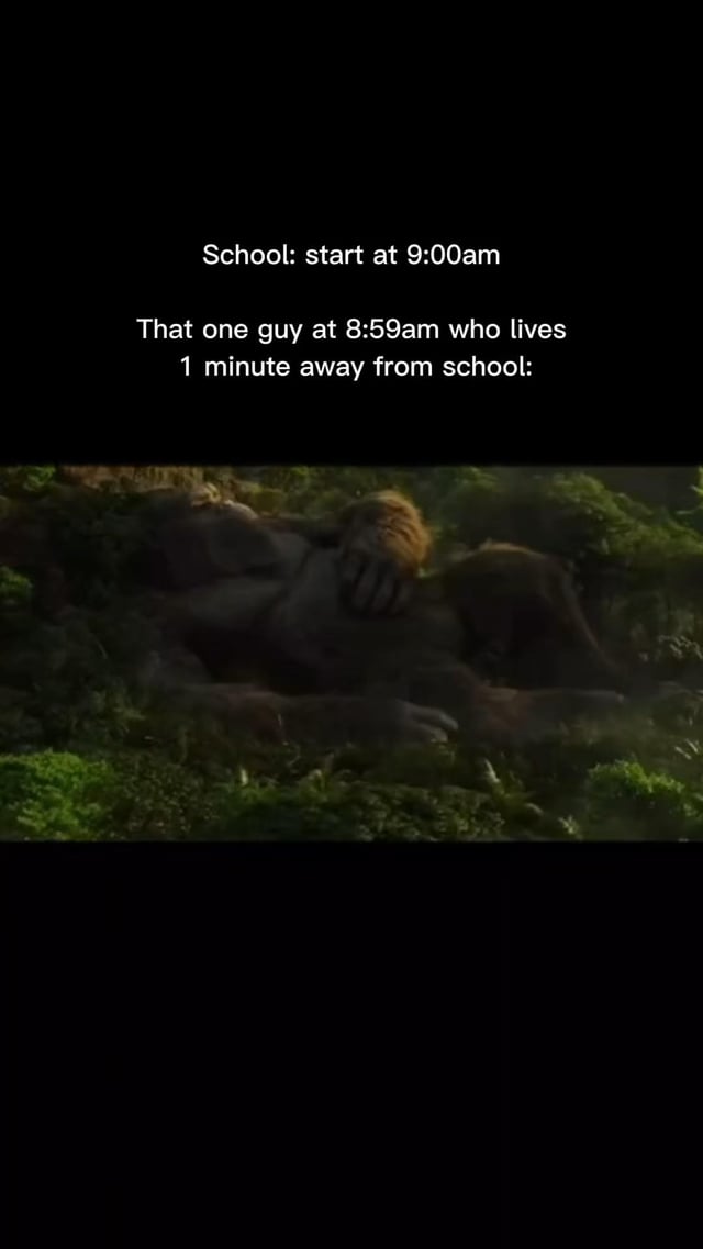 This meme uses a two-part text overlay paired with a movie still to create a relatable joke about school life. The top text states 'School: start at 9:00am', followed by the line 'That one guy at 8:59am who lives 1 minute away from school:'. Below this text is an image of King Kong, the iconic giant ape from the *King Kong* film franchise, lying lazily on a mossy jungle ground with his arm covering part of his face, appearing relaxed and unhurried. The humor comes from the contrast between the imminent start of school and the complete lack of urgency from the student who lives extremely close, taking full advantage of their short commute by remaining in a state of rest, just like the laid-back Kong.