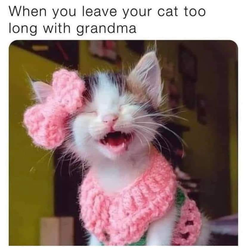 This wholesome meme features a real calico kitten wearing a handmade pink crocheted bow and collar set. The kitten has its eyes closed, mouth open in a joyful, contented expression, appearing thoroughly spoiled and loved. The top caption reads **When you leave your cat too long with grandma**, playing on the universal, relatable trope of grandparents spoiling their 'grandchildren'—in this case, a beloved pet cat—with extra affection, treats, and cute accessories. The meme evokes warm, positive feelings about treating pets as cherished family members.