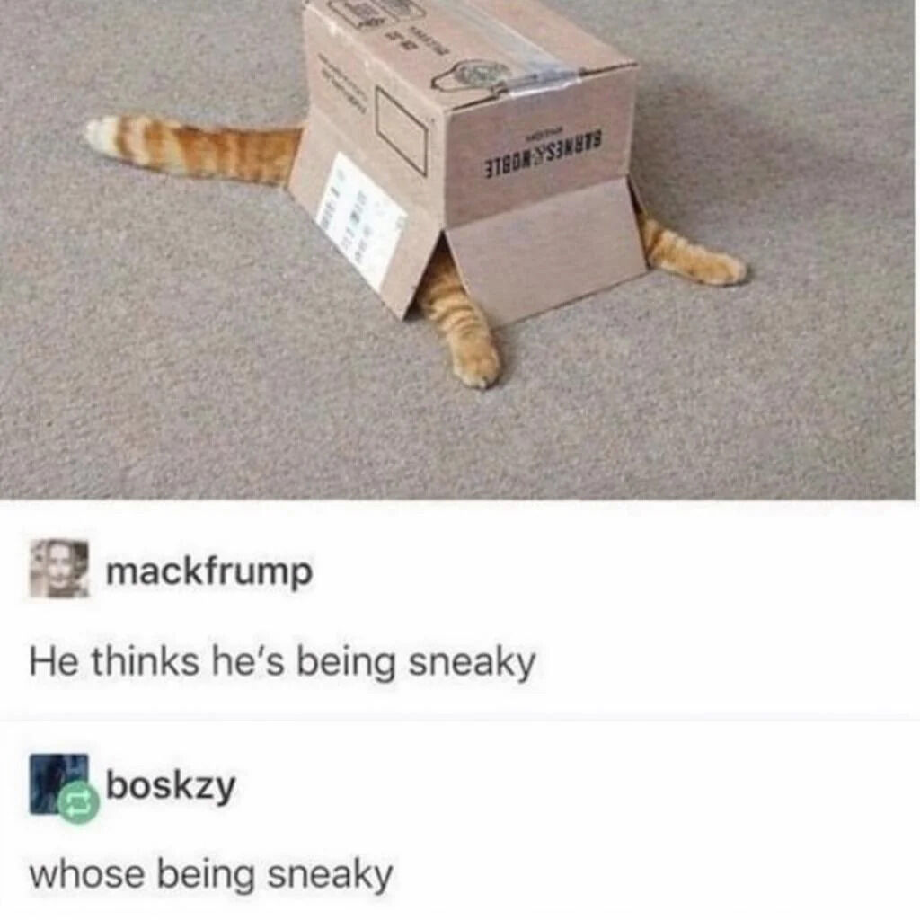 The image depicts an orange cat with a small cardboard box placed over its back, covering its torso. The cat's front legs, hind legs, and tail stick out from under the box, creating a humorous visual of the cat attempting to 'hide' or be sneaky. The background is a plain carpeted floor. Below the photo, there are two user comments: the top comment by 'mackfrump' reads 'He thinks he's being sneaky,' and a reply by 'boskzy' says 'whose being sneaky' (likely a typo for 'Who's being sneaky'). The overall tone is lighthearted and wholesome, emphasizing the cat's playful attempt at stealth.