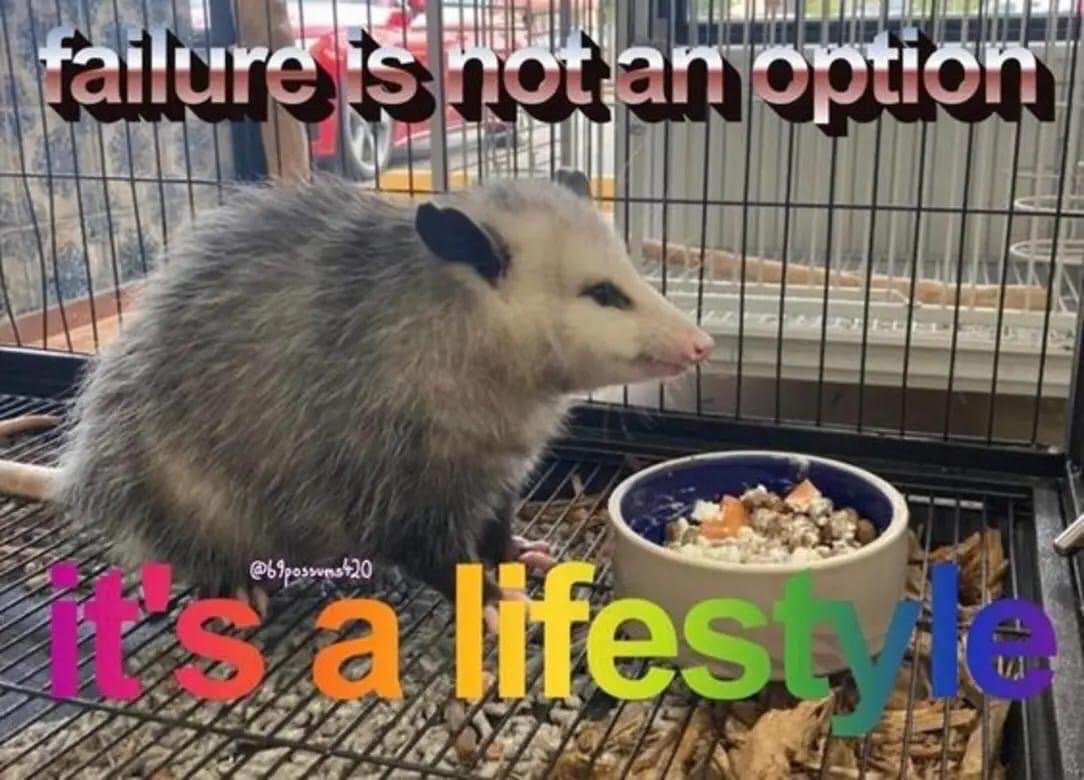 The meme features a real opossum standing inside a wire animal cage, adjacent to a ceramic food bowl filled with assorted food. Overlaid text at the top of the image, rendered in a metallic silver font with a black drop shadow, reads 'failure is not an option'. At the bottom of the image, bold rainbow gradient text reads 'it's a lifestyle'. The humor comes from the ironic subversion of the common motivational phrase 'failure is not an option', instead framing failure and low-stakes, unproductive living as a deliberate, embraced lifestyle, with the placid opossum acting as a relatable stand-in for people who reject pressure to be constantly productive. A watermark for the X account @69possums420 is visible near the opossum's front legs.